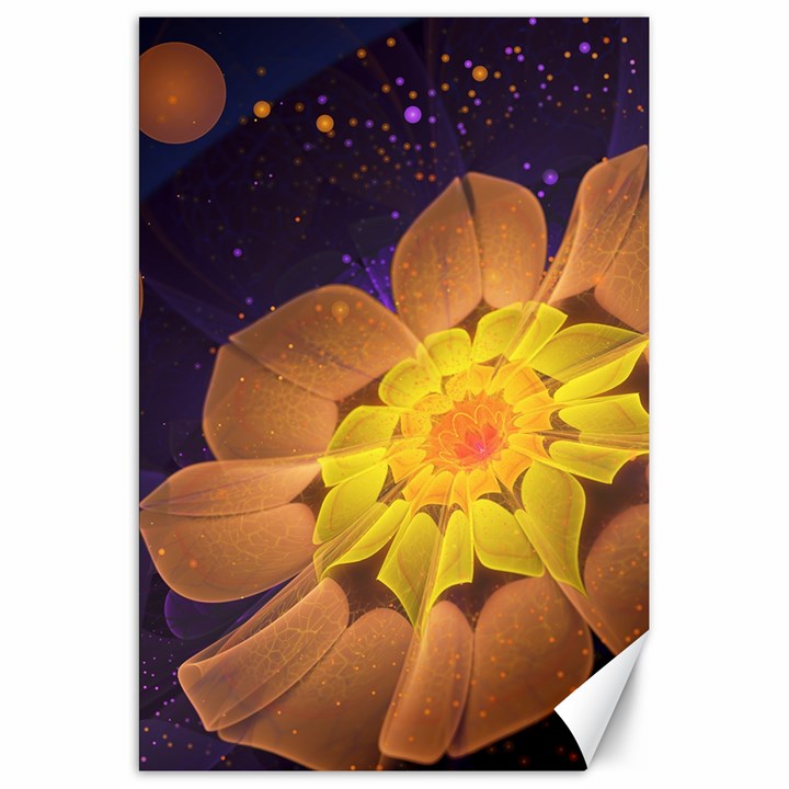 Beautiful Violet & Peach Primrose Fractal Flowers Canvas 20  x 30  