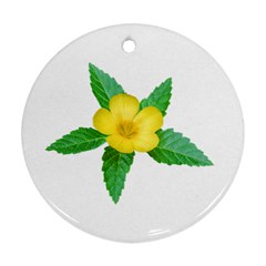 Yellow Flower With Leaves Photo Ornament (round) by dflcprints