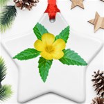 Yellow Flower With Leaves Photo Ornament (Star) Front