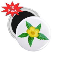 Yellow Flower With Leaves Photo 2 25  Magnets (10 Pack)  by dflcprints