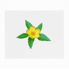 Yellow Flower With Leaves Photo Small Glasses Cloth by dflcprints