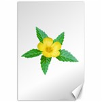 Yellow Flower With Leaves Photo Canvas 24  x 36  23.35 x34.74  Canvas - 1