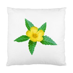 Yellow Flower With Leaves Photo Standard Cushion Case (one Side) by dflcprints