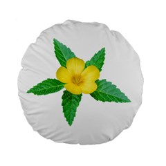 Yellow Flower With Leaves Photo Standard 15  Premium Round Cushions by dflcprints