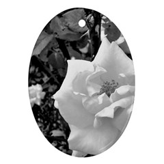 White Rose Black Back Ground Greenery ! Ornament (oval) by CreatedByMeVictoriaB