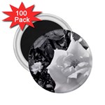 white rose black back ground greenery ! 2.25  Magnets (100 pack)  Front