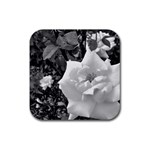 white rose black back ground greenery ! Rubber Coaster (Square)  Front