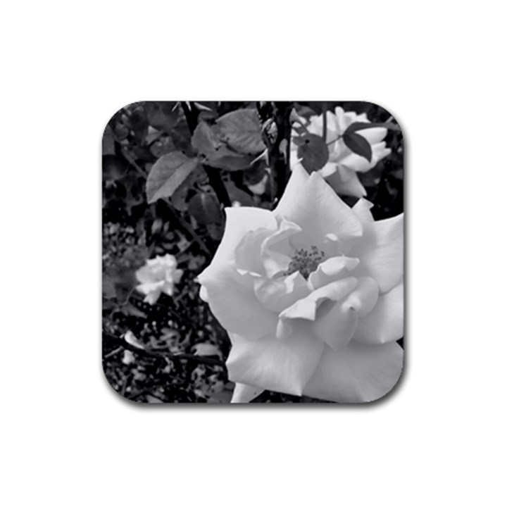 white rose black back ground greenery ! Rubber Coaster (Square) 