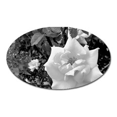 White Rose Black Back Ground Greenery ! Oval Magnet by CreatedByMeVictoriaB