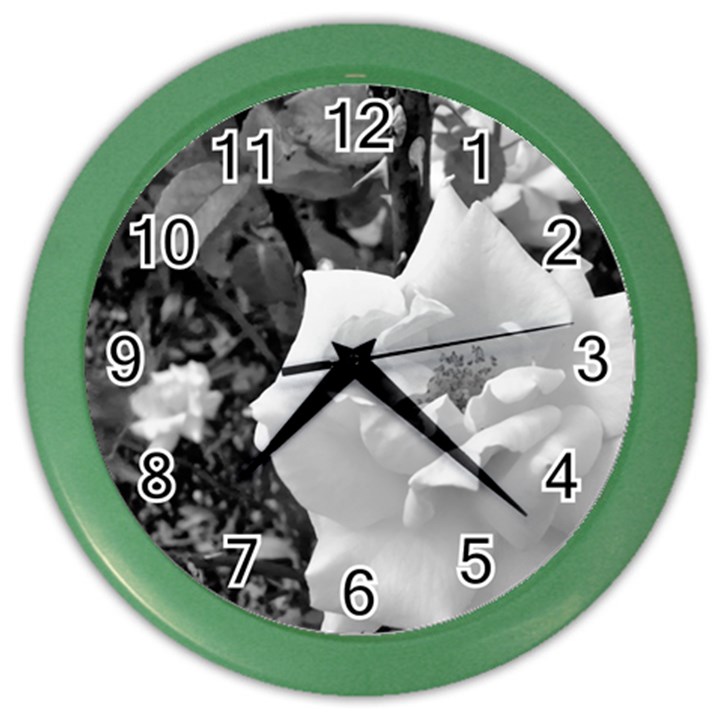 white rose black back ground greenery ! Color Wall Clocks