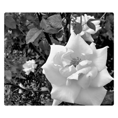 White Rose Black Back Ground Greenery ! Double Sided Flano Blanket (small)  by CreatedByMeVictoriaB