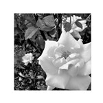 white rose black back ground greenery ! Small Satin Scarf (Square) Front