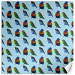 Blue Birds Parrot Pattern Canvas 12  x 12   11.4 x11.56  Canvas - 1