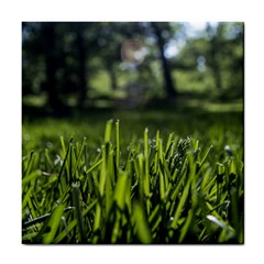 Green Grass Field Tile Coasters by paulaoliveiradesign