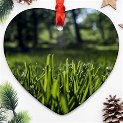 Green Grass Field Ornament (heart)