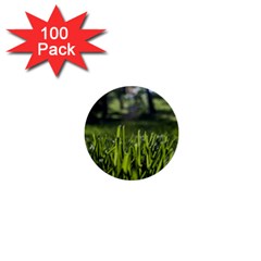 Green Grass Field 1  Mini Buttons (100 Pack) 