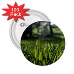 Green Grass Field 2.25  Buttons (100 pack)  Front