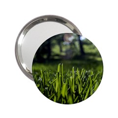 Green Grass Field 2 25  Handbag Mirrors by paulaoliveiradesign