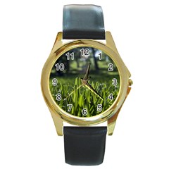 Green Grass Field Round Gold Metal Watch by paulaoliveiradesign