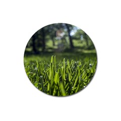 Green Grass Field Magnet 3  (round)