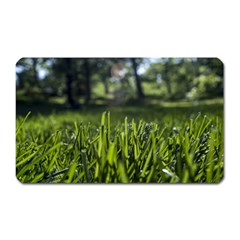 Green Grass Field Magnet (rectangular)