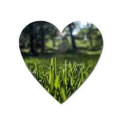 Green Grass Field Heart Magnet