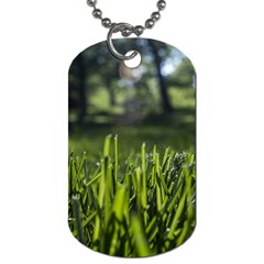 Green Grass Field Dog Tag (two Sides)