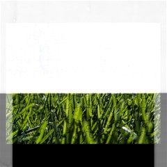 Green Grass Field Rectangular Jigsaw Puzzl by paulaoliveiradesign