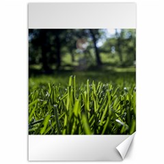 Green Grass Field Canvas 12  X 18   by paulaoliveiradesign