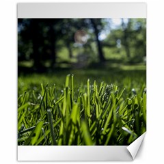 Green Grass Field Canvas 16  X 20   by paulaoliveiradesign