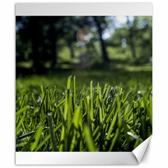 Green Grass Field Canvas 20  X 24   by paulaoliveiradesign