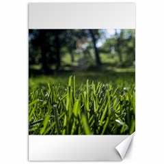 Green Grass Field Canvas 20  X 30   by paulaoliveiradesign