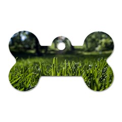 Green Grass Field Dog Tag Bone (two Sides) by paulaoliveiradesign