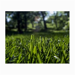 Green Grass Field Small Glasses Cloth (2-side) by paulaoliveiradesign