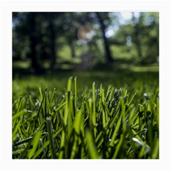 Green Grass Field Medium Glasses Cloth (2-side) by paulaoliveiradesign