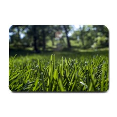 Green Grass Field Small Doormat  by paulaoliveiradesign