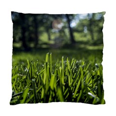 Green Grass Field Standard Cushion Case (one Side) by paulaoliveiradesign