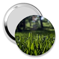 Green Grass Field 3  Handbag Mirrors by paulaoliveiradesign