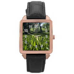 Green Grass Field Rose Gold Leather Watch  by paulaoliveiradesign