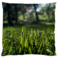 Green Grass Field Standard Flano Cushion Case (one Side) by paulaoliveiradesign