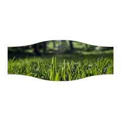 Green Grass Field Stretchable Headband