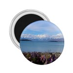 Lake Tekapo New Zealand Landscape Photography 2.25  Magnets Front