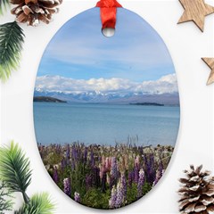 Lake Tekapo New Zealand Landscape Photography Ornament (Oval)