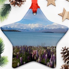 Lake Tekapo New Zealand Landscape Photography Ornament (Star)