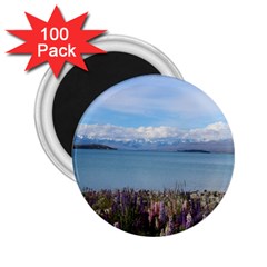 Lake Tekapo New Zealand Landscape Photography 2 25  Magnets (100 Pack)  by paulaoliveiradesign