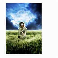 Astronaut Large Garden Flag (two Sides) by BangZart