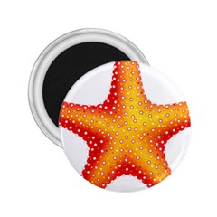 Starfish 2 25  Magnets by BangZart