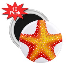 Starfish 2 25  Magnets (10 Pack)  by BangZart