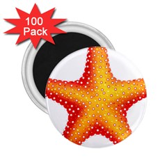 Starfish 2 25  Magnets (100 Pack)  by BangZart