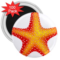 Starfish 3  Magnets (100 Pack) by BangZart